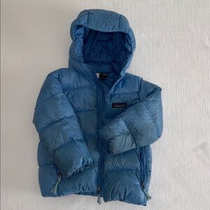 Patagonia Sky Blue Hooded Jacket